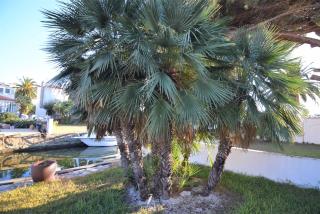 399-Casa moderna con amarre 14m y piscina privada - Empuriabrava - 3