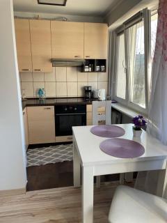 Apartament Pan Tadeusz - 4