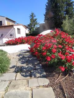 Le Macine di San Salvadore - 4