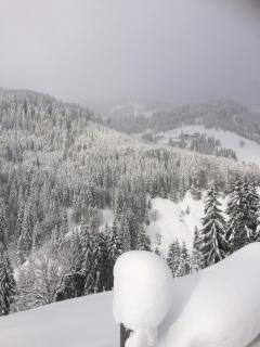 Appartements Feroli - 2