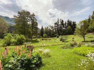 CasaGiulia - Sillano - 6