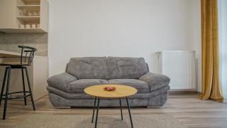 Grandis Studio Coresi - Braşov - 8