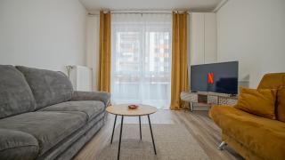 Grandis Studio Coresi - Braşov - 9