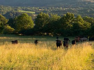 Hillside Strašín Šumava - 2