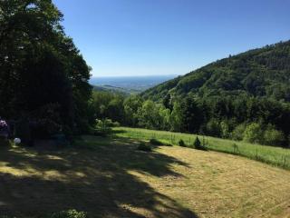 Dachstudio in Traumlage mit spektakulärem Ausblick - 6