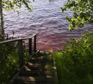 RELAX, Heart of nature and lakes - Hyrynsalmi - 2