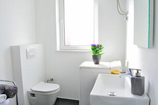 Apartment Domus Lauri - Umag - 5