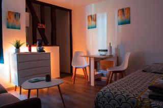 Studio Charmant Confortable TV Centre Ville Louviers - Louviers - 9
