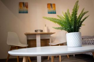 Studio Charmant Confortable TV Centre Ville Louviers - Louviers - 8