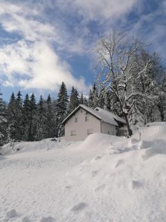 Ferienhaus Plöckenstein - Schwarzenberg am Bohmerwald - 4