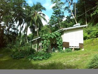 Citrus Creek Plantation - 1