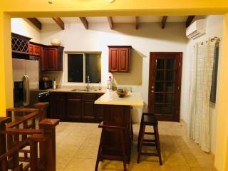 Placencia Pointe Townhomes #4 - 4