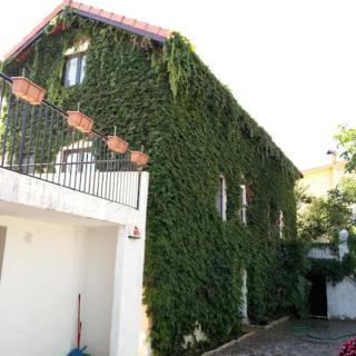 Casa Agrícola Do Limonete - Figueira da Foz - 0