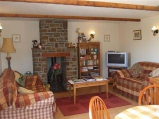 Frankaborough Farm Holiday Cottages - Virginstow - 7