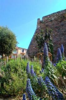 Cadre de rêve mais vous faites le ménage- very good prices but you have to clea-n th-e flat - Cannes - 4