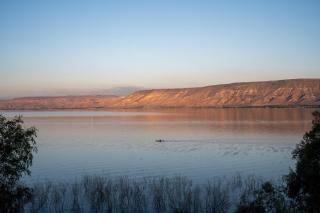 Jacob Ohalo Kinneret - 8