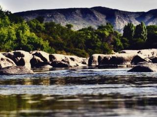 Jardin de Estrellas - 4