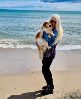 Woodleigh Lodge - Gorey - 9