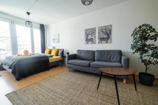FullHouse - Chemnitz - HS46 - 3 Bedrooms - SmartTV - Chemnitz - 9