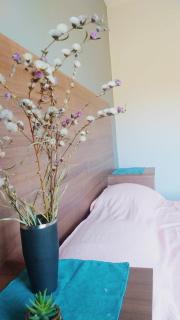 Casa con pileta en Paso de la Patria - 7