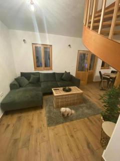 Secluded holiday house Cove Donje More, Pasman - 20398 - 4