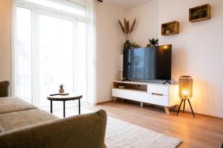 MH Living - 23 - Scandinavian Living Dream in Center - Graz - 9