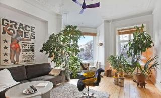 Copenhagen Apartment with excellent location - Copenhaga - 8