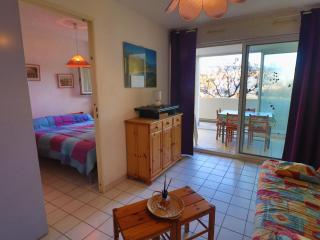 Spacieux T2 climatisé avec garage en plein cœur de Sète - FR-1-472-178 - Sète - 4