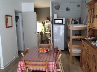 Appartement cosy 40m², 6 couchages, pied des pistes avec balcon, à Villard-de-Lans - FR-1-689-116 - Villard-de-Lans - 9