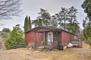 Cozy Asheville Cottage with Grill and Fire Pit! - Asheville - 8
