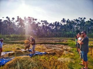 CentreHome Villa Wayanad - 8