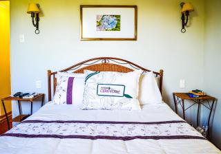 Hostal Cepa Noble - Santa Cruz - 3