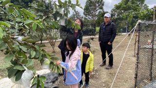 有山有谷民宿 - 4