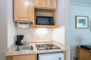 Mountainside Inn 411 by Alpine Lodging Telluride - 8