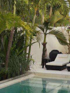 Calamus - Tropical minimalistic villa in Bali - Canggu - 2