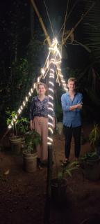 Kuttickattil Pool Home Stay Kumarakom - 2