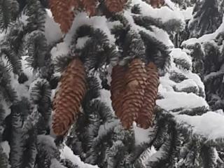 Apartman Bella Vita - 1