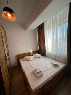 Cozy Accommodation Central City - Iasi - Iaşi - 3