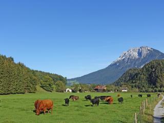 Bleierhof - 7