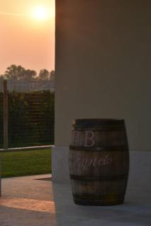 Il Vigneto - Desenzano del Garda - 1