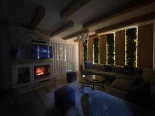 Villa Breza Brezovice - 9