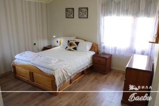 ВИЛА БАЕВИ - Velingrad - 3