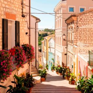 Tra Gli Olivi E La Riviera Del Conero - 2