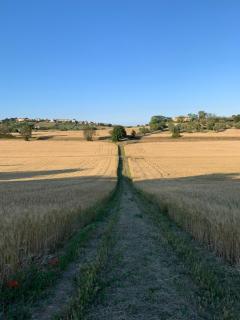 Tra Gli Olivi E La Riviera Del Conero - 1