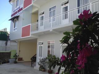 Phuong Hong Guesthouse - Da Lat - 8
