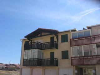 Appartement T3 à 100m de l'océan, terrasse, animaux acceptés, bien aménagé pour vacances - FR-1-379-75 - Vieux-Boucau-les-Bains - 2