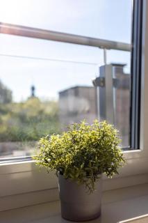 Apartament z tarasem Old Town Gdańsk Tartaczna 56 - Danzig - 5