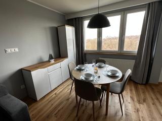 Baltic and Forest Apartament - Danzig - 9