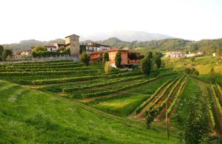 Agriturismo Il Belvedere - Palazzago - 0