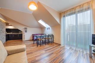 Apartamenty Sun & Snow Willa Jazgór - centrum, blisko plaży - Jastrzębia Góra - 6